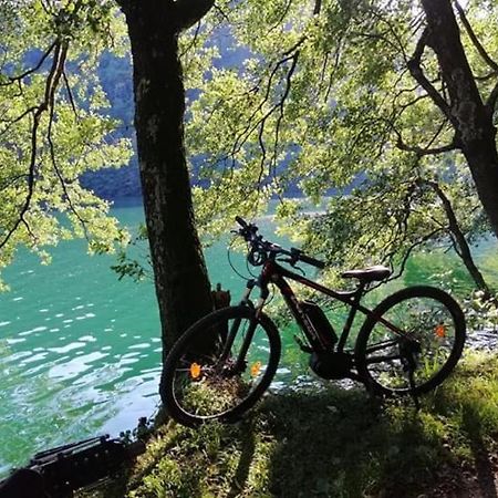 Appartamento Levico Lake Levico Terme Dış mekan fotoğraf