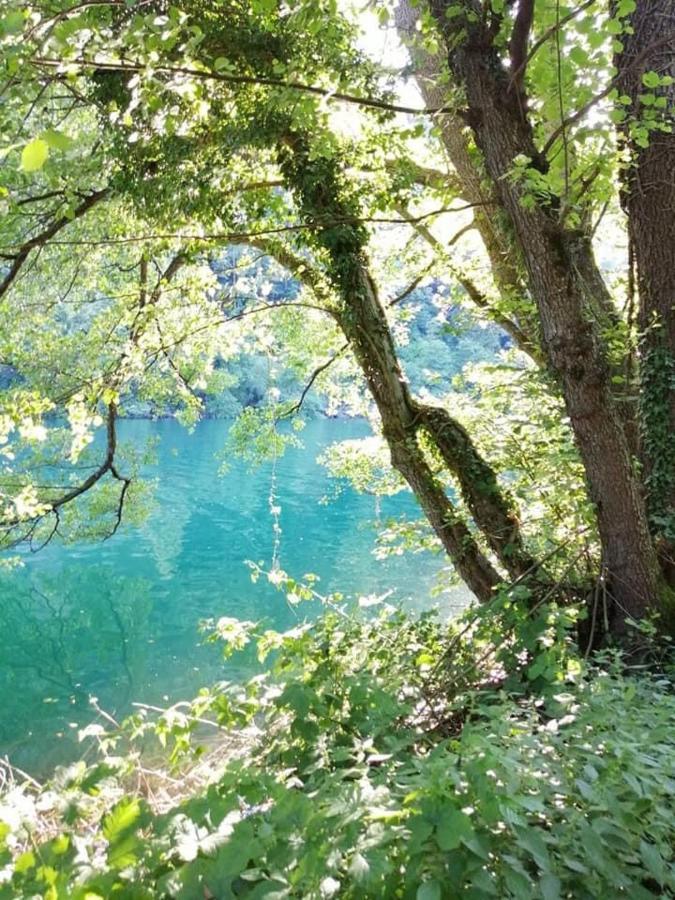 Appartamento Levico Lake Levico Terme Dış mekan fotoğraf